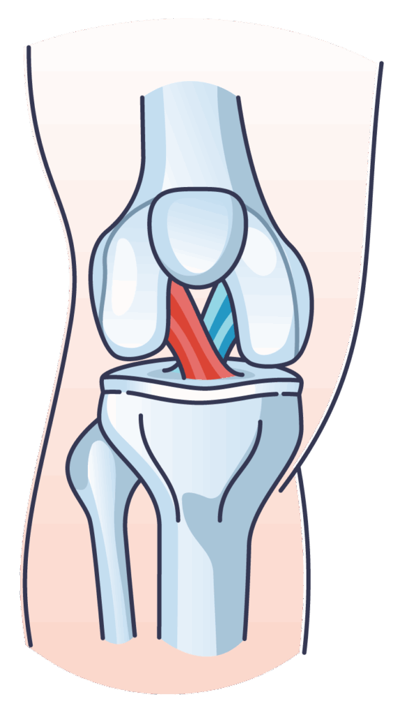 Michigan-Orthopedic-Center-Lansing-Okemos-MI