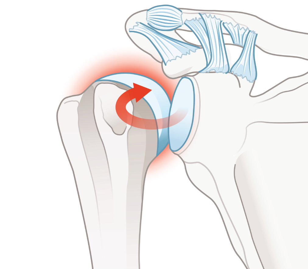 Michigan-Orthopedic-Center-Lansing-Okemos-MI