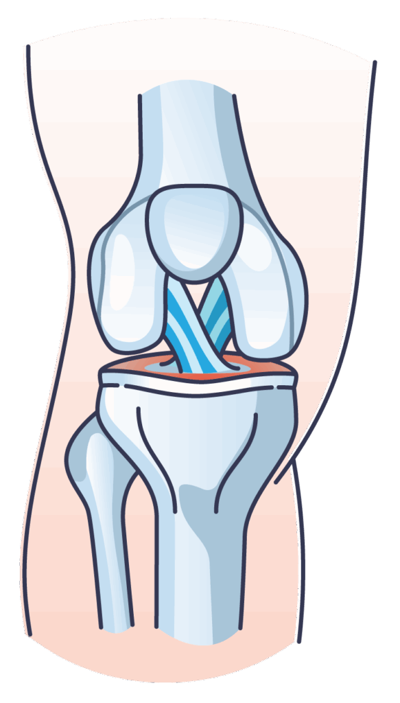 Michigan-Orthopedic-Center-Lansing-Okemos-MI